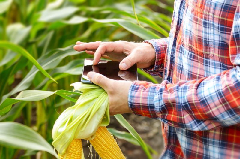 Internet of Things (IoT)